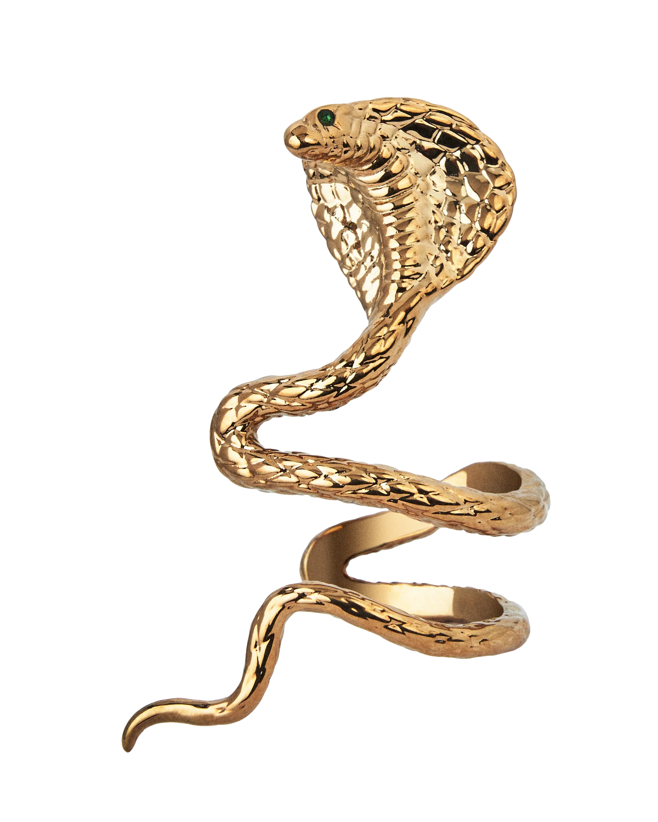 Reputation Album Snake Ear Cuff